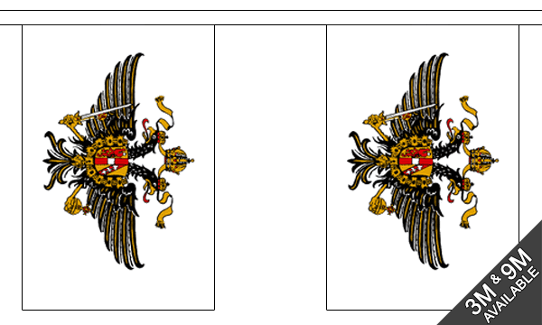 Flagmania 1st The Queens Dragoon Guards Bunting, 9 metre bunting