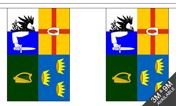 Four Provinces 3 metre bunting, 10 flags - Flagmania