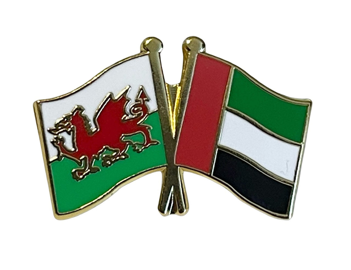 Wales and UAE United Arab Emirates Friendship Diplomatic Enamel Lapel Pin Badge image 0