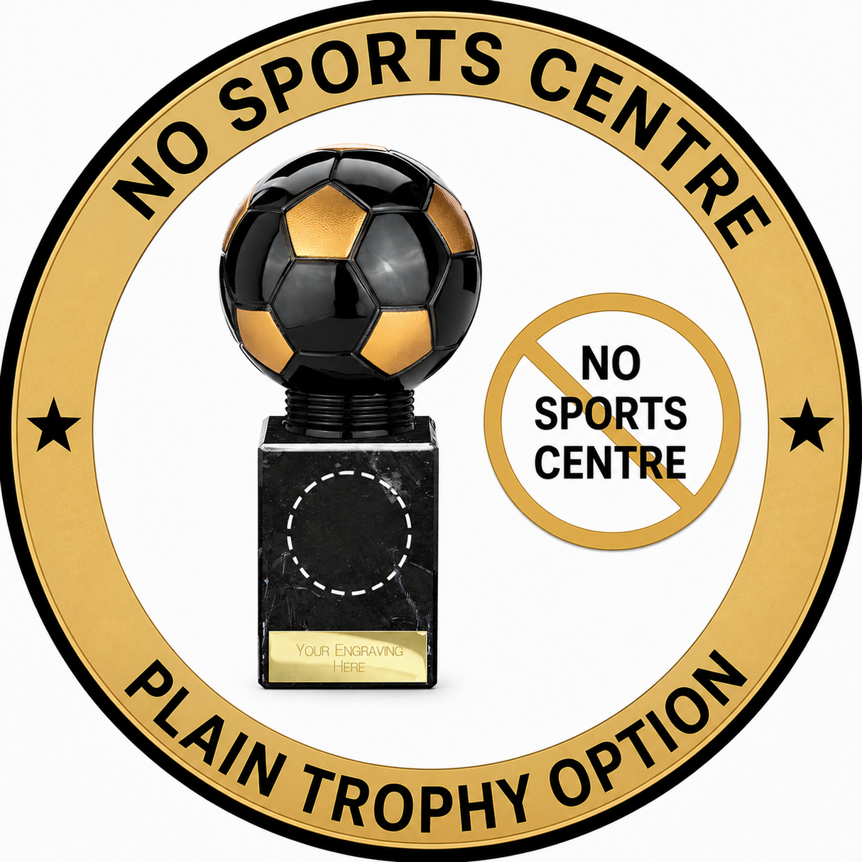 Falcon American Football Trophy with 25mm Centre – Silver & Gold Award 210mm