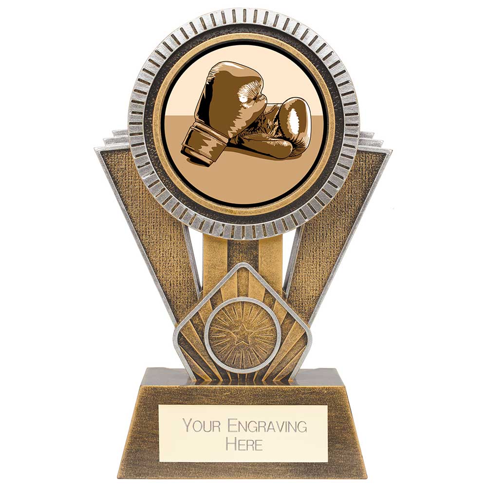 Apex resin boxing trophy with 25mm boxing centre and personalised engraving plate.