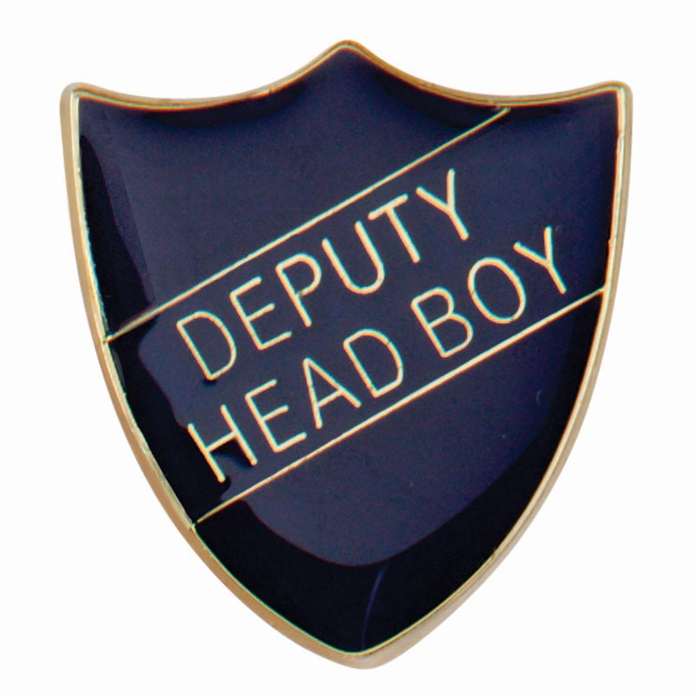 Premium enamel school shield badge with butterfly clutch fastening for student leadership and recognition awards.