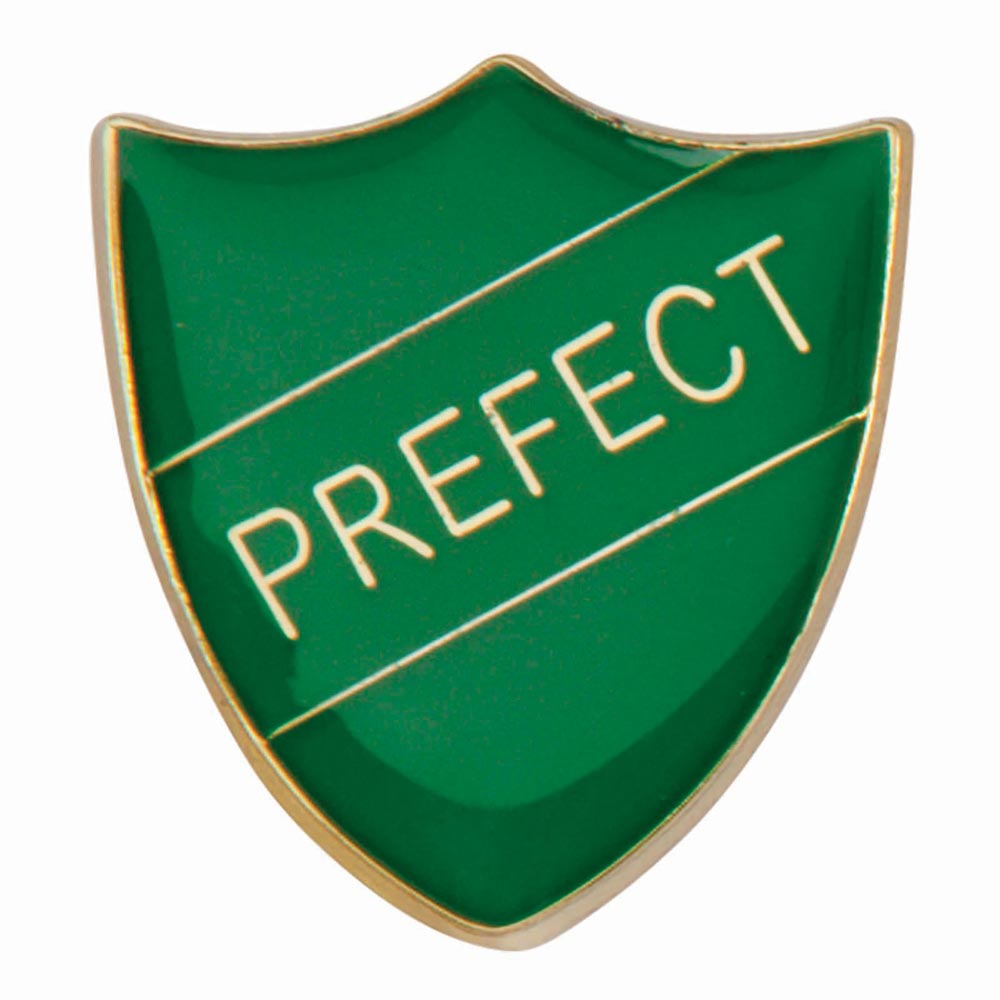 Premium enamel school shield badge with butterfly clutch fastening for student leadership and recognition awards.