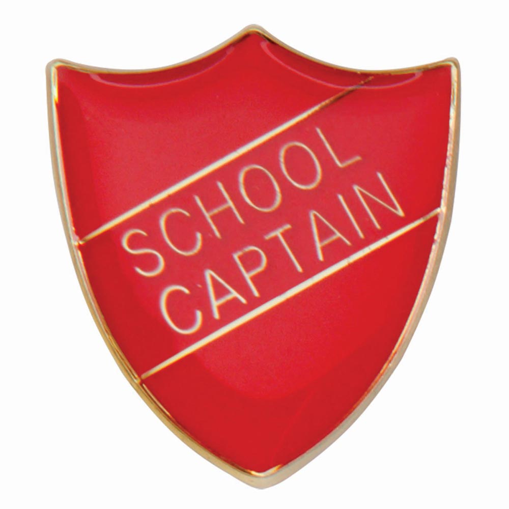 Premium enamel school shield badge with butterfly clutch fastening for student leadership and recognition awards.