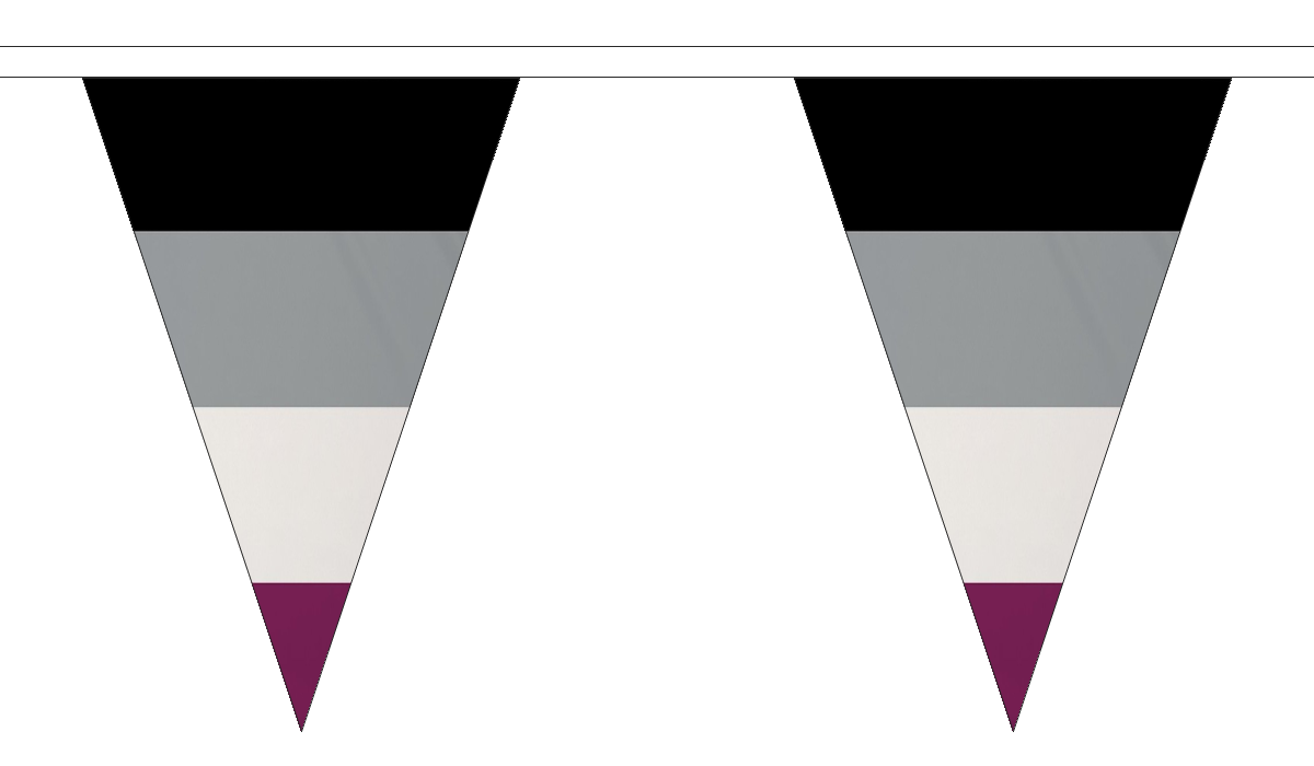 Flagmania Asexual 5 metre bunting