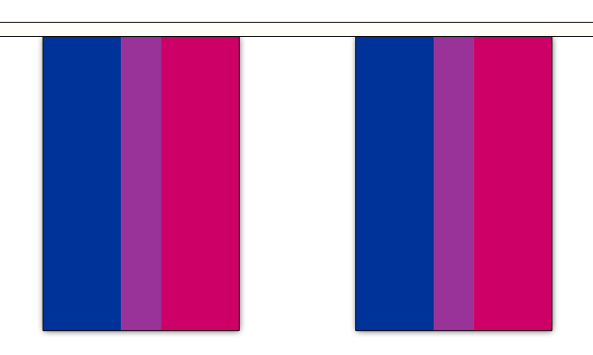 Flagmania Bi-Pride Bunting, 9 metre bunting