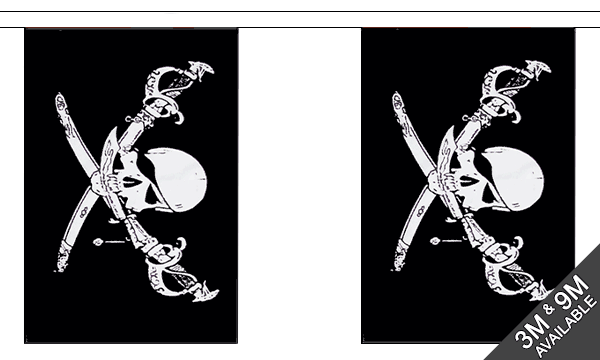 Brethren of the Coast 3 metre bunting, 10 flags - Flagmania