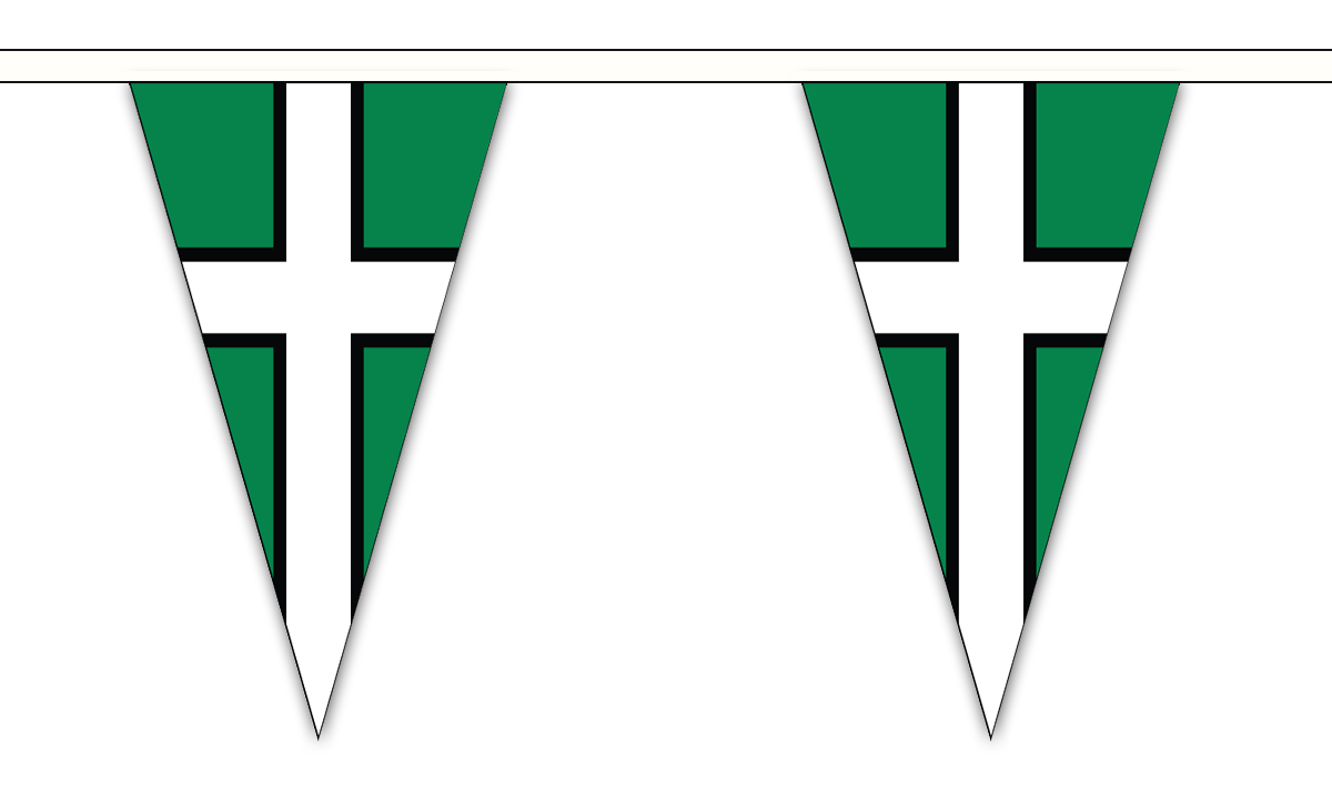 Flagmania Devon 5 metre bunting