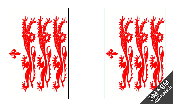 Flagmania Dorset Old (Lions) Bunting, 9 metre bunting