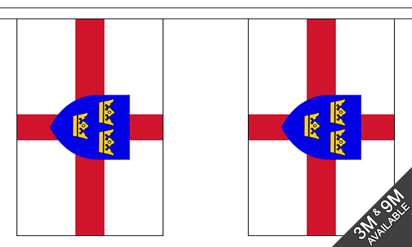 East Anglia 3 metre bunting, 10 flags - Flagmania
