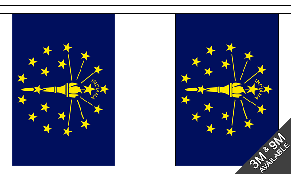 Indiana 3 metre bunting, 10 flags - Flagmania
