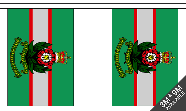 Flagmania Intelligence Corps Bunting, 9 metre bunting