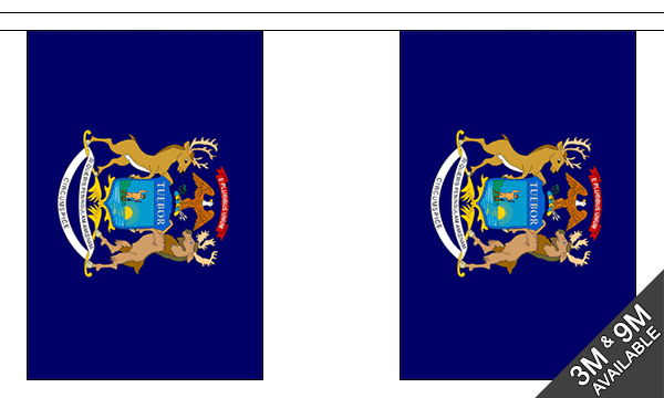 Michigan 3 metre bunting, 10 flags - Flagmania