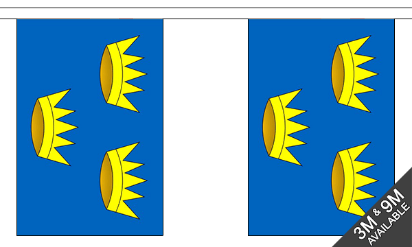 Munster 3 metre bunting, 10 flags - Flagmania