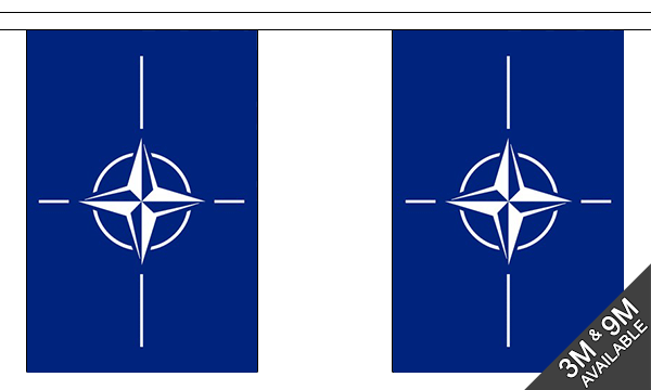 NATO 3 metre bunting, 10 flags - Flagmania