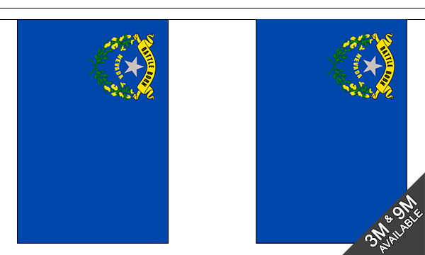 Nevada 3 metre bunting, 10 flags - Flagmania