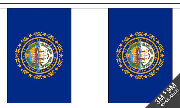 Flagmania New Hampshire Bunting, 9 metre bunting