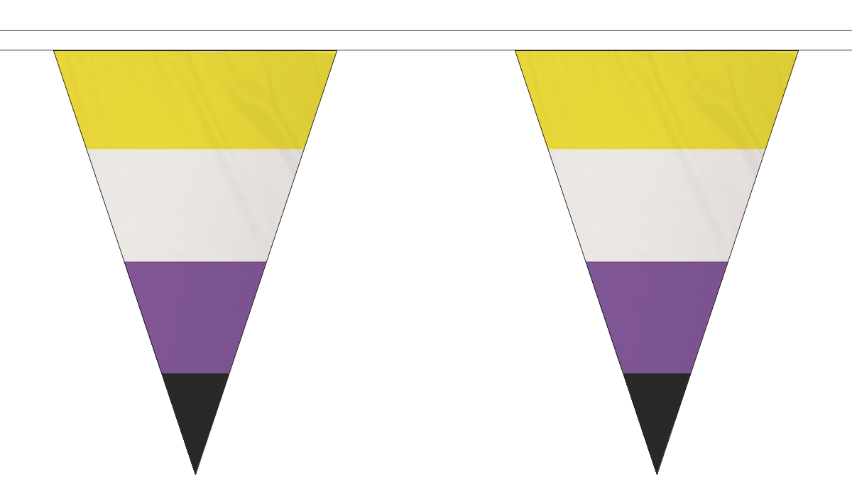 Flagmania Non-Binary 5 metre bunting