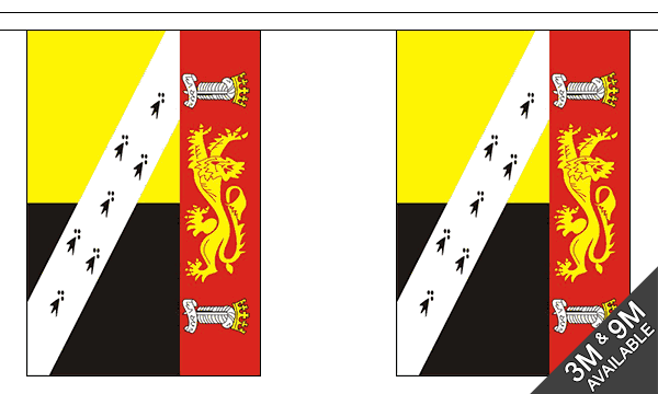 Flagmania Norfolk Old (with Crest) Bunting, 9 metre bunting