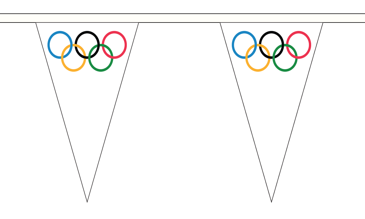 Flagmania Olympic 5 metre bunting