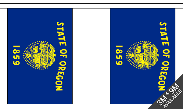Oregon 3 metre bunting, 10 flags - Flagmania