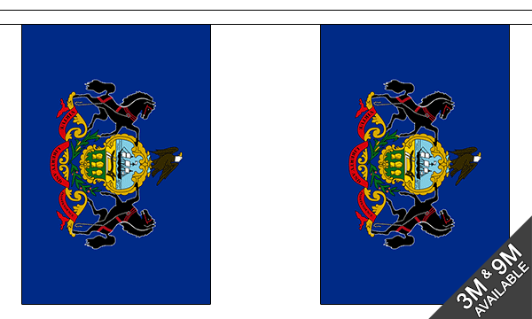 Flagmania Pennsylvania Bunting, 9 metre bunting