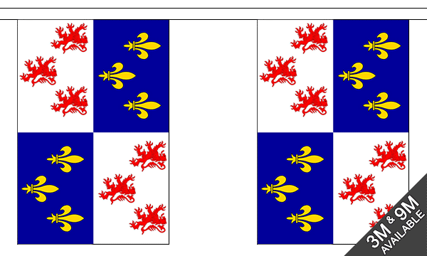 Flagmania Picardy Bunting, 9 metre bunting