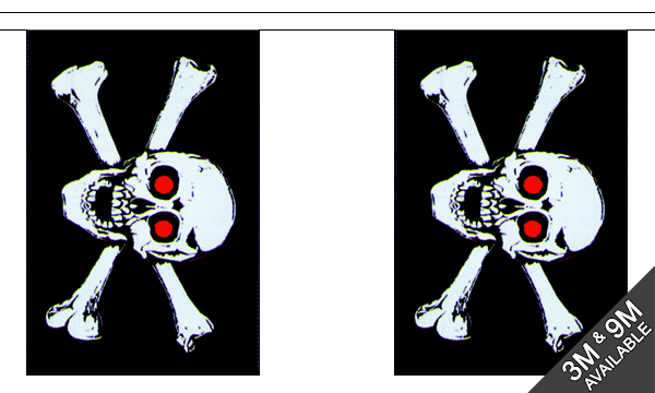 Flagmania Pirate Red Eyes Bunting, 9 metre bunting