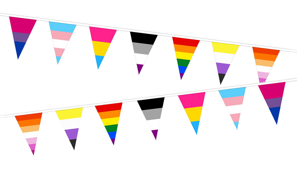 Flagmania Pride Mixed Identity (7 Designs) Triangle Bunting (15m Length)