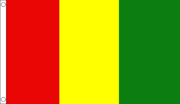Flagmania Red, Yellow and Green Irish County 8ft x 5ft polyester flag