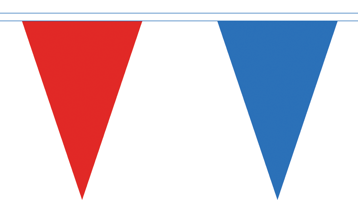 Flagmania Red and Royal Blue Triangle Bunting 20 metre bunting