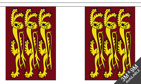 Flagmania Richard The Lionheart Bunting, 9 metre bunting