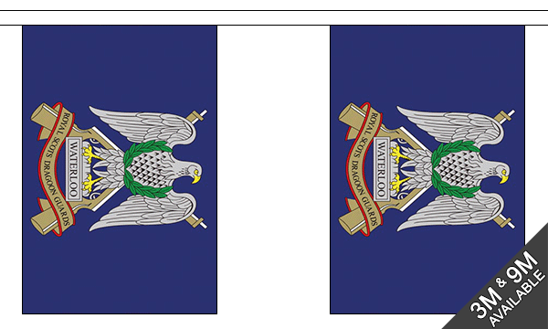 Flagmania Royal Scots Dragoon Guards Bunting, 9 metre bunting