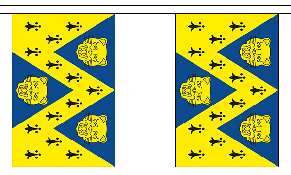 Flagmania Shropshire New Bunting, 9 metre bunting