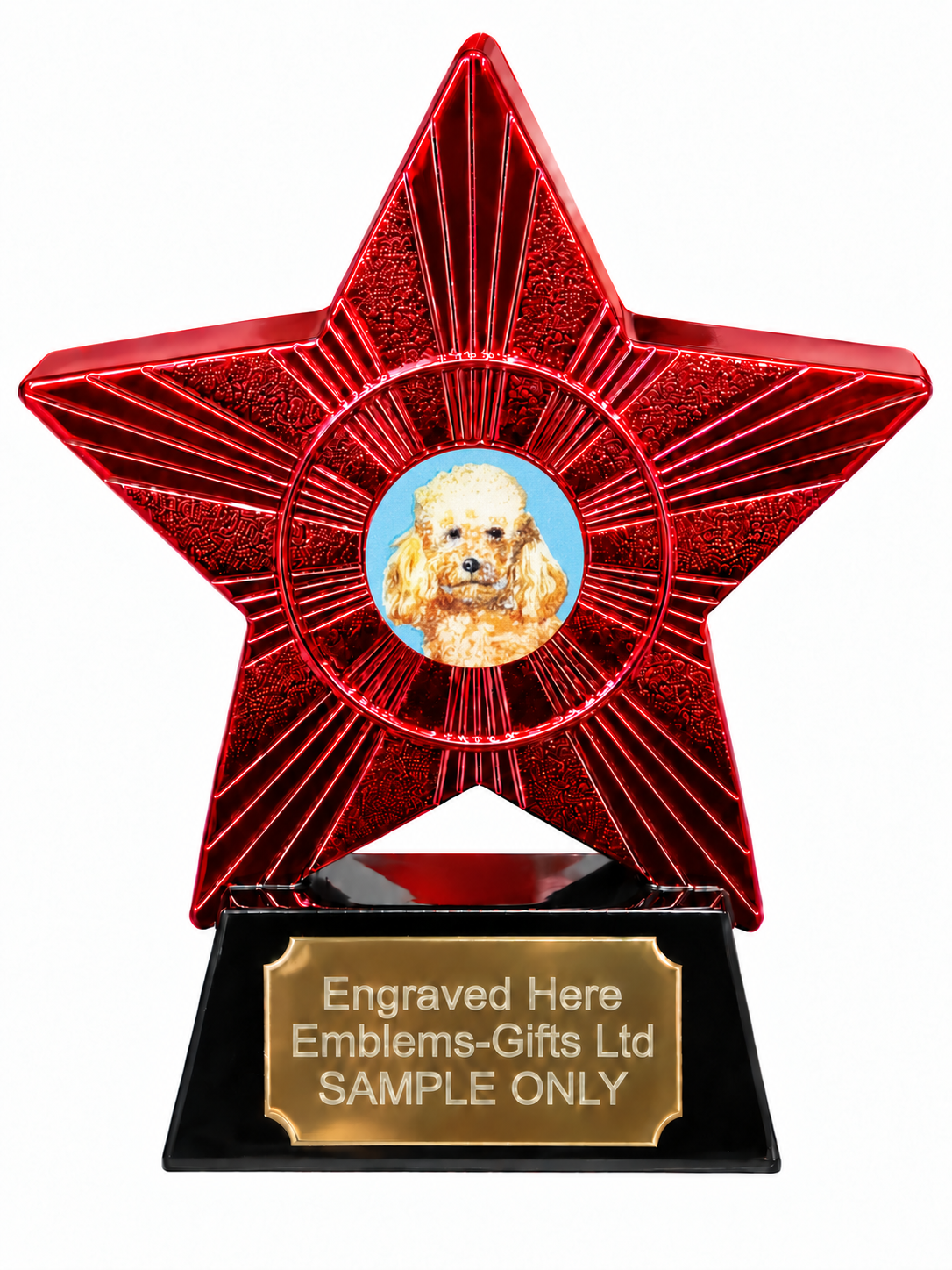 Red Superstar Poodle Portrait Resin Trophy 140 x 125mm (A4)