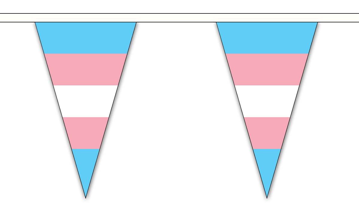 Transgender (New) Triangle 12 metre bunting by Flagmania