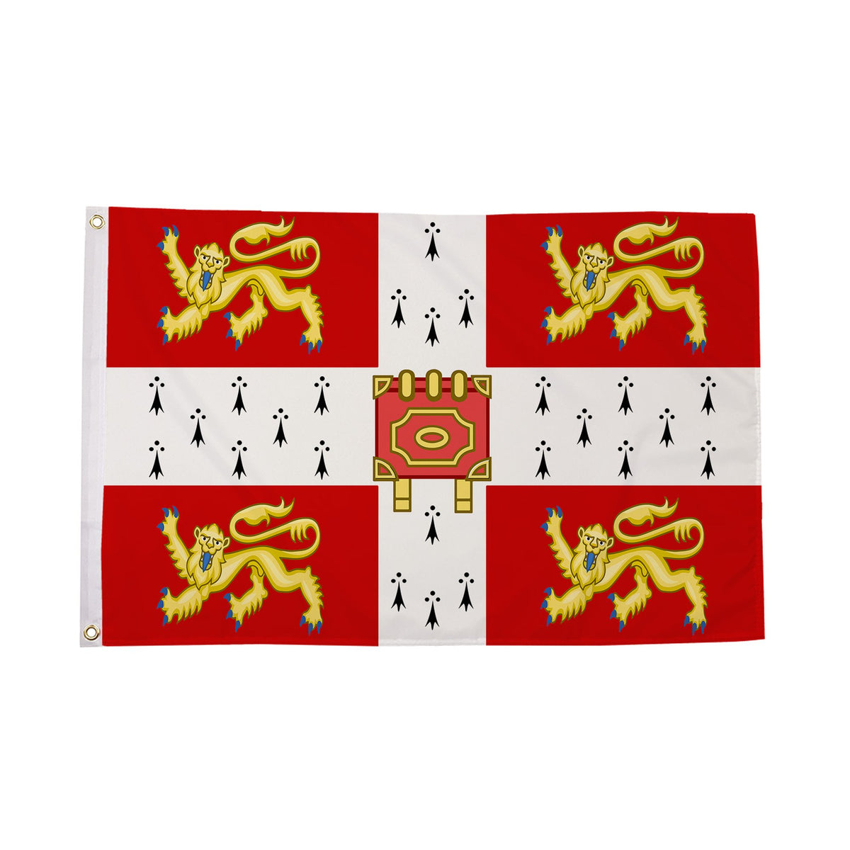 University of Cambridge flag with four gold lions and central book centred on white