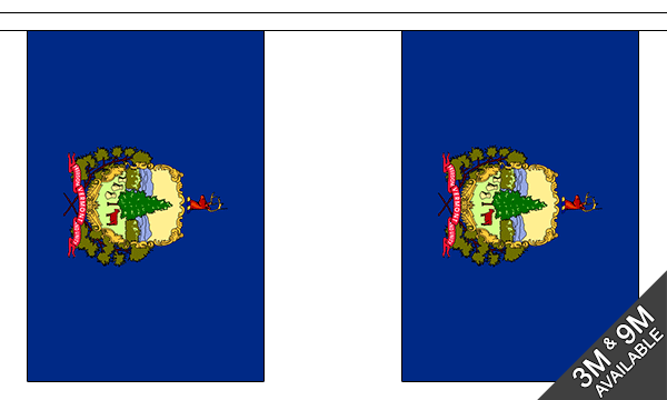 Vermont 3 metre bunting, 10 flags - Flagmania