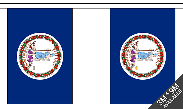 Virginia 3 metre bunting, 10 flags - Flagmania