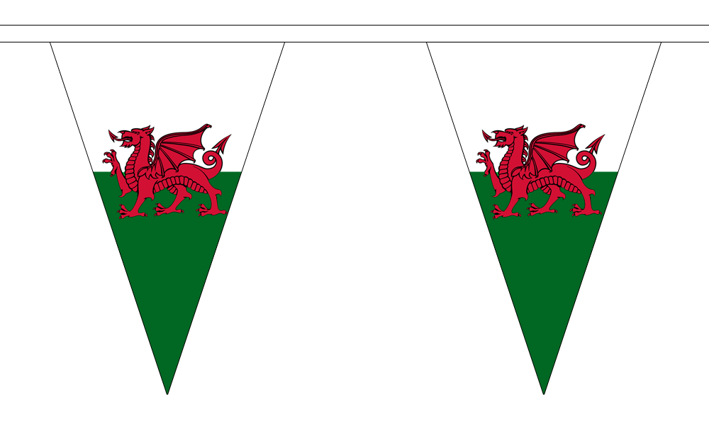 Flagmania Wales 5 metre bunting