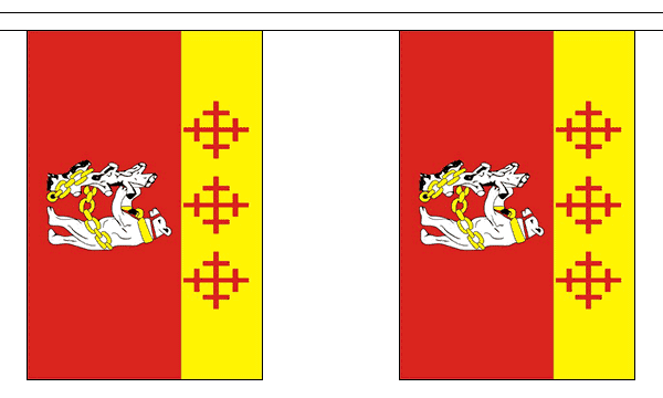 Warwickshire Old 3 metre bunting, 10 flags - Flagmania