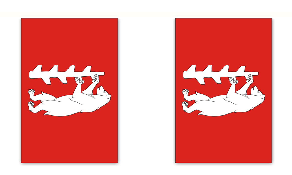 Flagmania Warwickshire New Bunting, 9 metre bunting