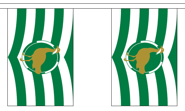 Wiltshire New 3 metre bunting, 10 flags - Flagmania