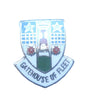 Gatehouse Of Fleet Quality Enamel Lapel Pin Badge image 0