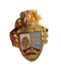 Ringwood Hampshire England Crest Quality Enamel Lapel Pin Badge image 0