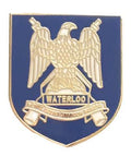 Royal Scots Dragoon Guards British Army - MOD Approved Enamel Lapel Pin Badge image 0