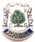 Ahoghill Small Quality enamel lapel pin badge T190 image 0