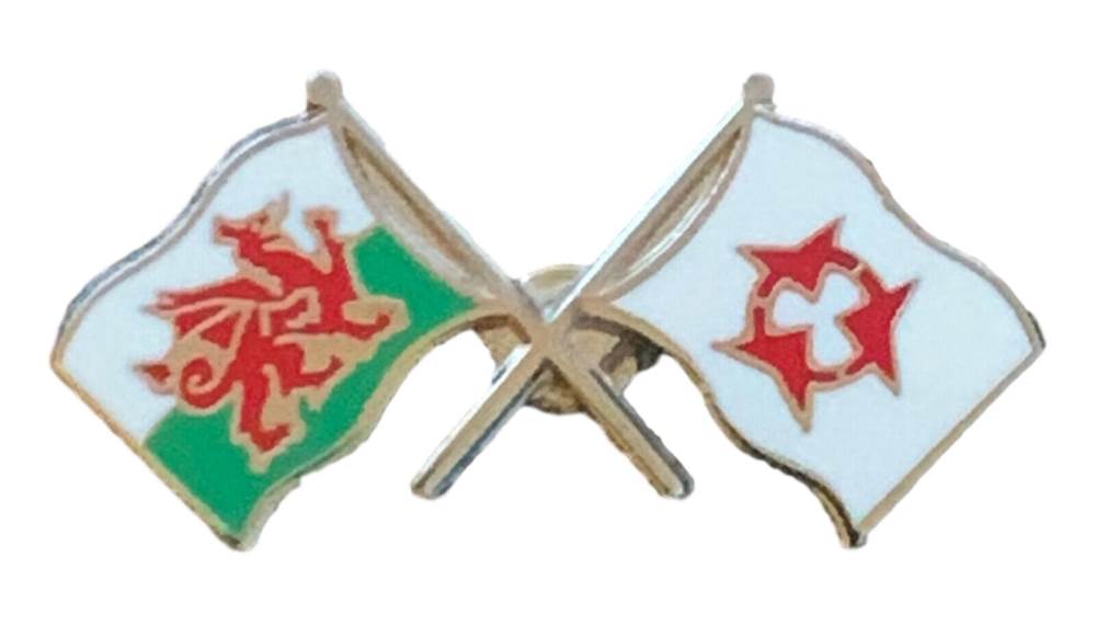Wales & Oita Flags Friendship Courtesy enamel Lapel Pin Badge T791 image 0