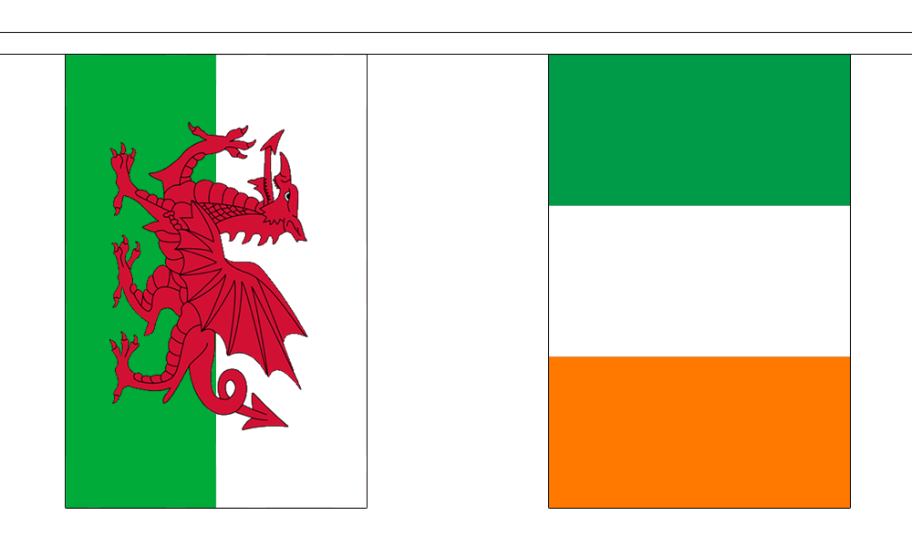 Flagmania 14 Multi Nations Giant Bunting (8m Length)