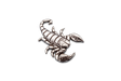 Handcrafted pewter scorpion pin badge featuring a detailed arachnid design with butterfly clutch fastening on a white background.